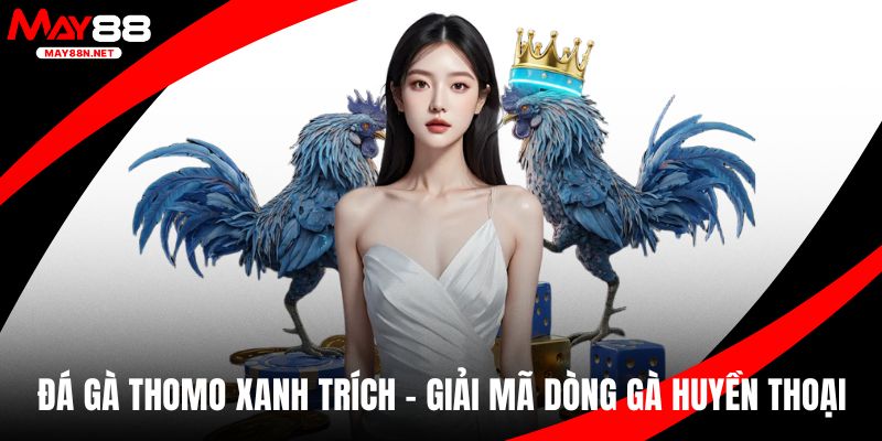 Đá gà thomo xanh trích