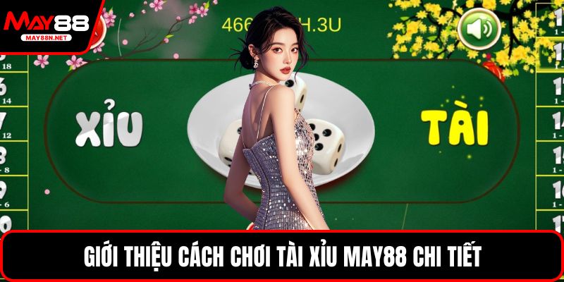 Giới thiệu cách chơi Tài Xỉu MAY88 chi tiết
