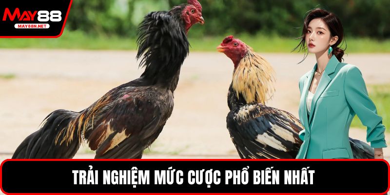 Trải nghiệm mức cược phổ biến nhất